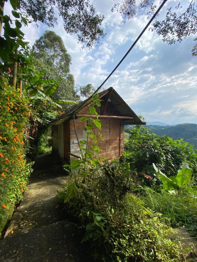 Eco Lodge La Juanita Manizales Exterior foto