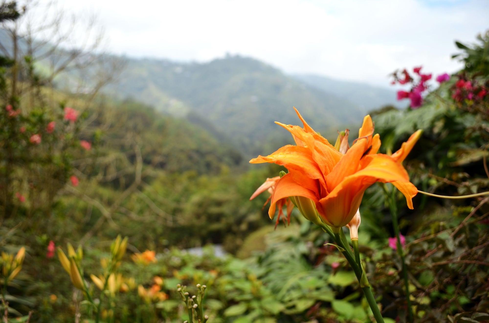 Eco Lodge La Juanita Manizales Exterior foto
