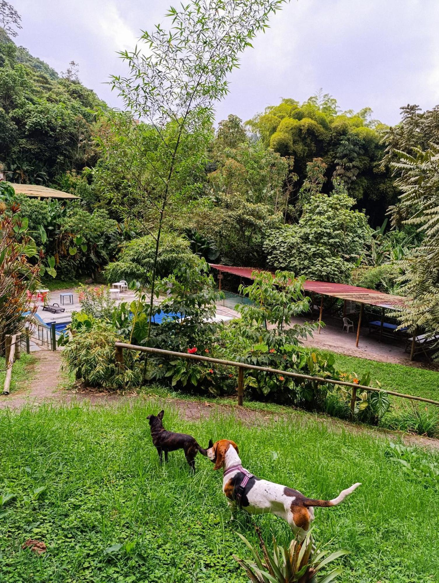 Eco Lodge La Juanita Manizales Exterior foto