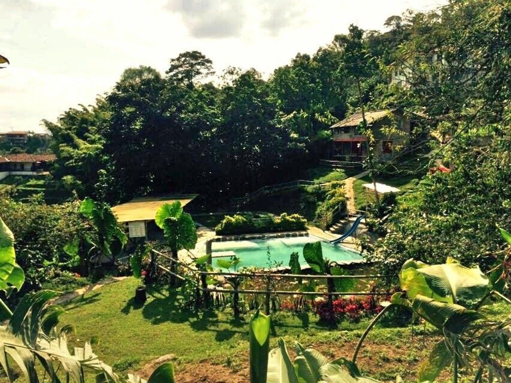 Eco Lodge La Juanita Manizales Exterior foto