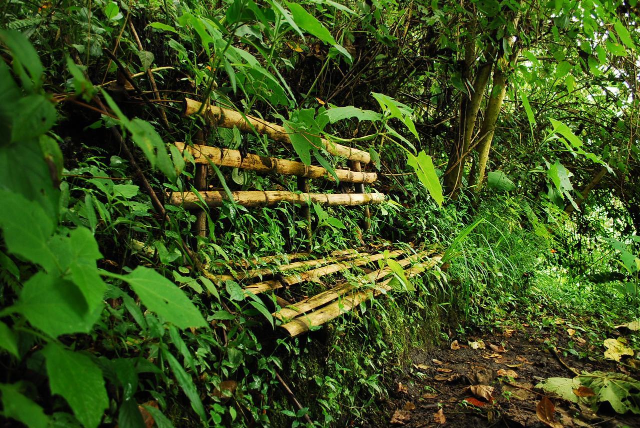 Eco Lodge La Juanita Manizales Exterior foto