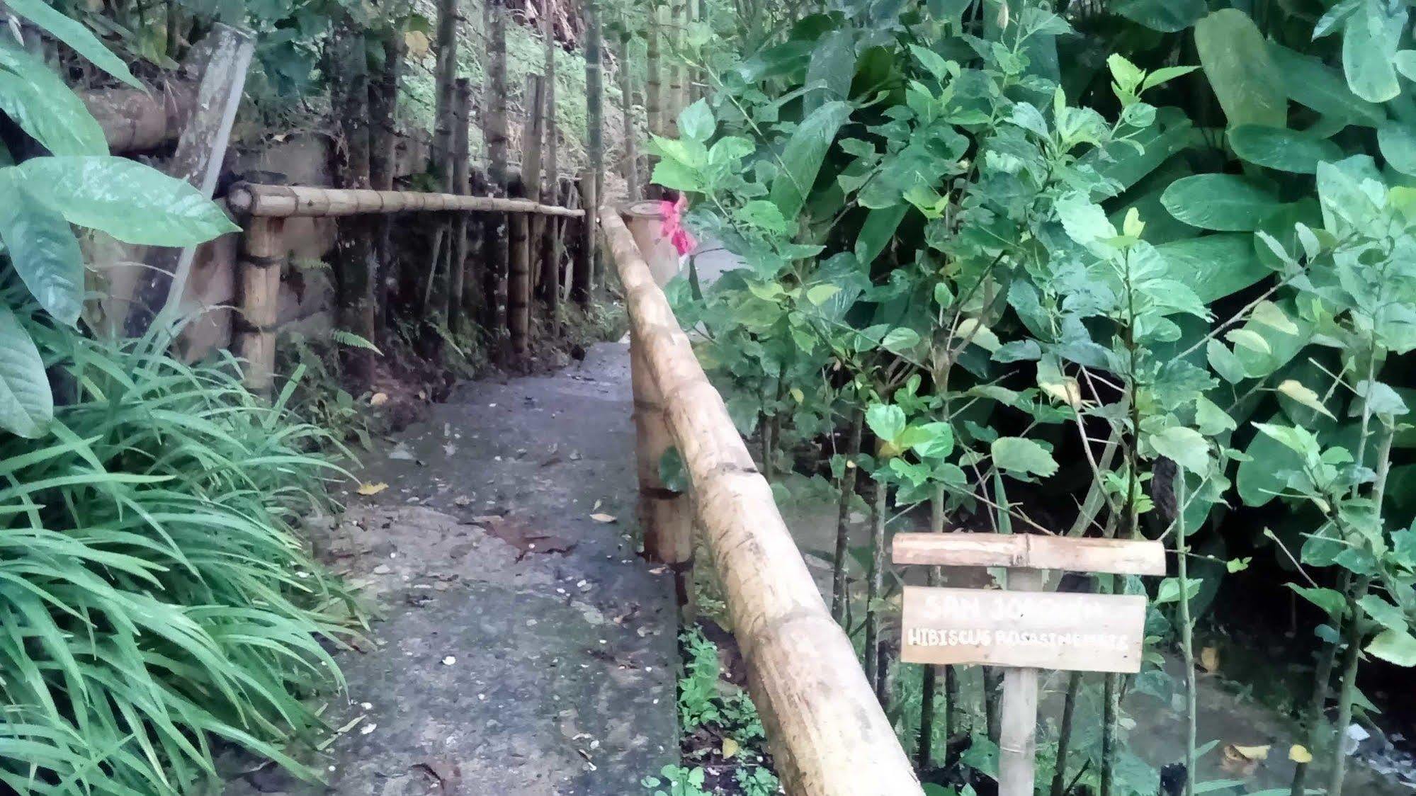 Eco Lodge La Juanita Manizales Exterior foto